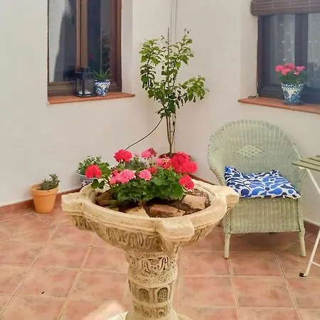 Lecrin Valley Holiday home